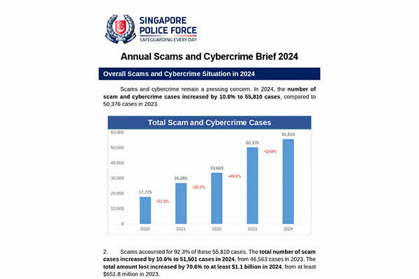 Annual Scams and Cybercrime Brief 2024