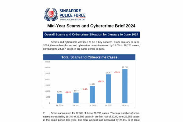 Mid-Year Scams and Cybercrime Brief 2024