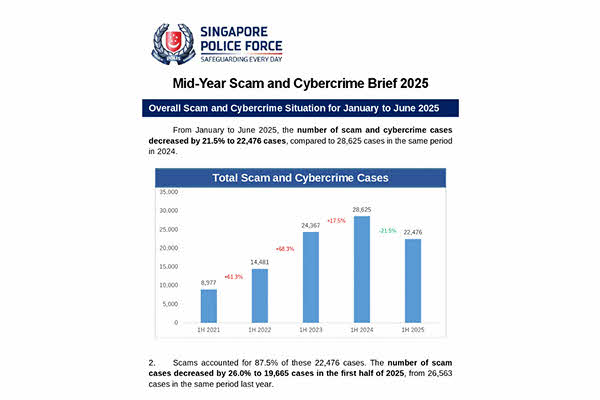 Mid-Year Scams and Cybercrime Brief 2025