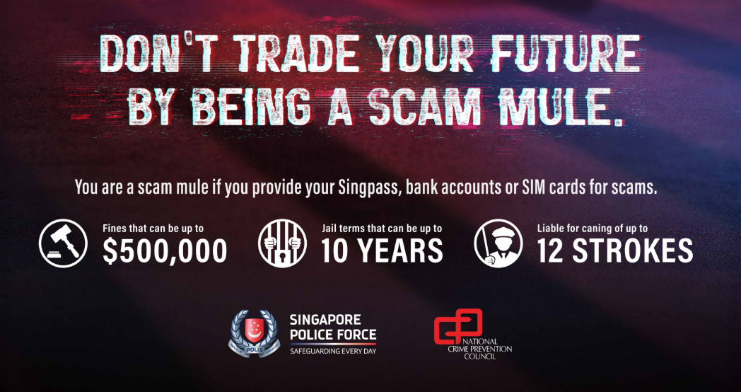 Don't trade your future by being a scam mule